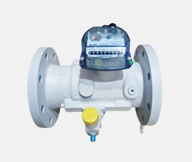Jual Gas Meter Itron Fluxi 2000/TZ Model G 160
